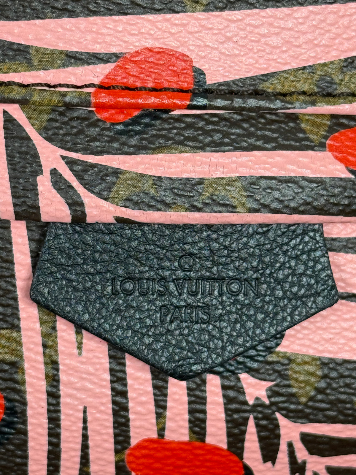 Louis Vuitton Palm Springs Jungle Dot