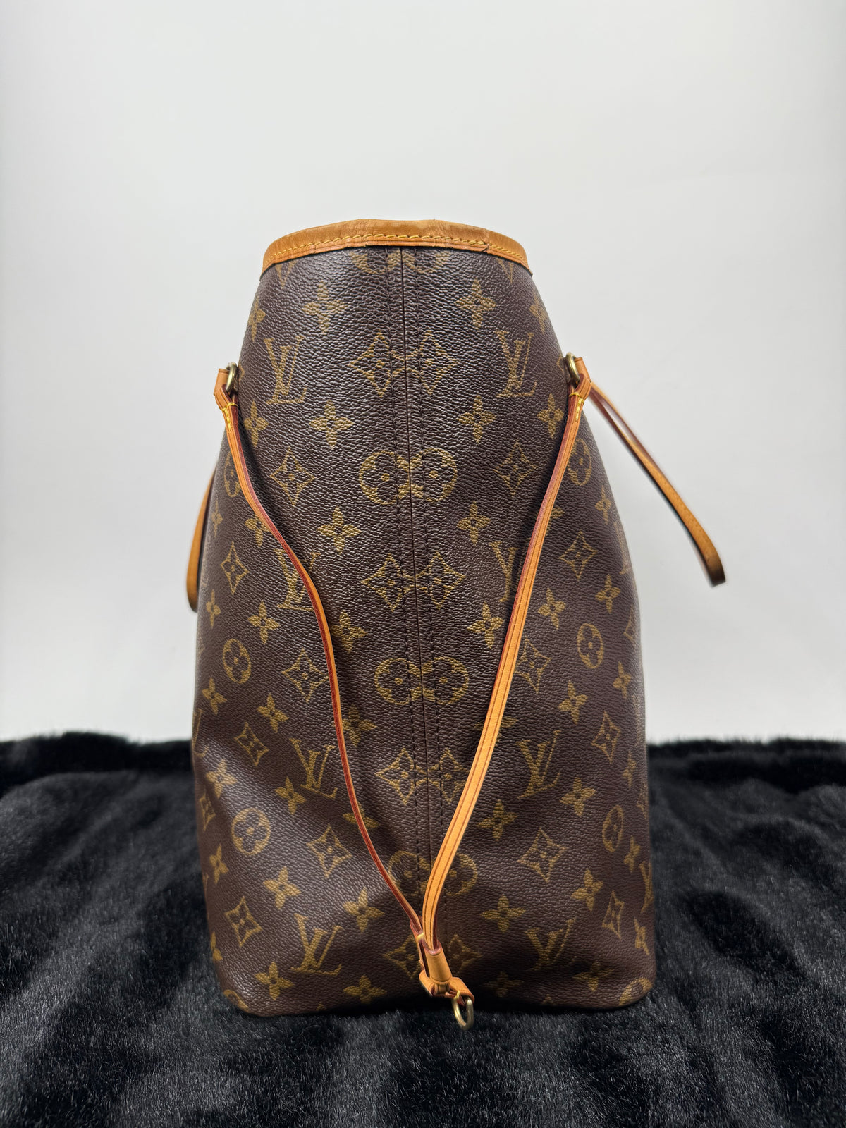 Louis Vuitton Neverfull PM