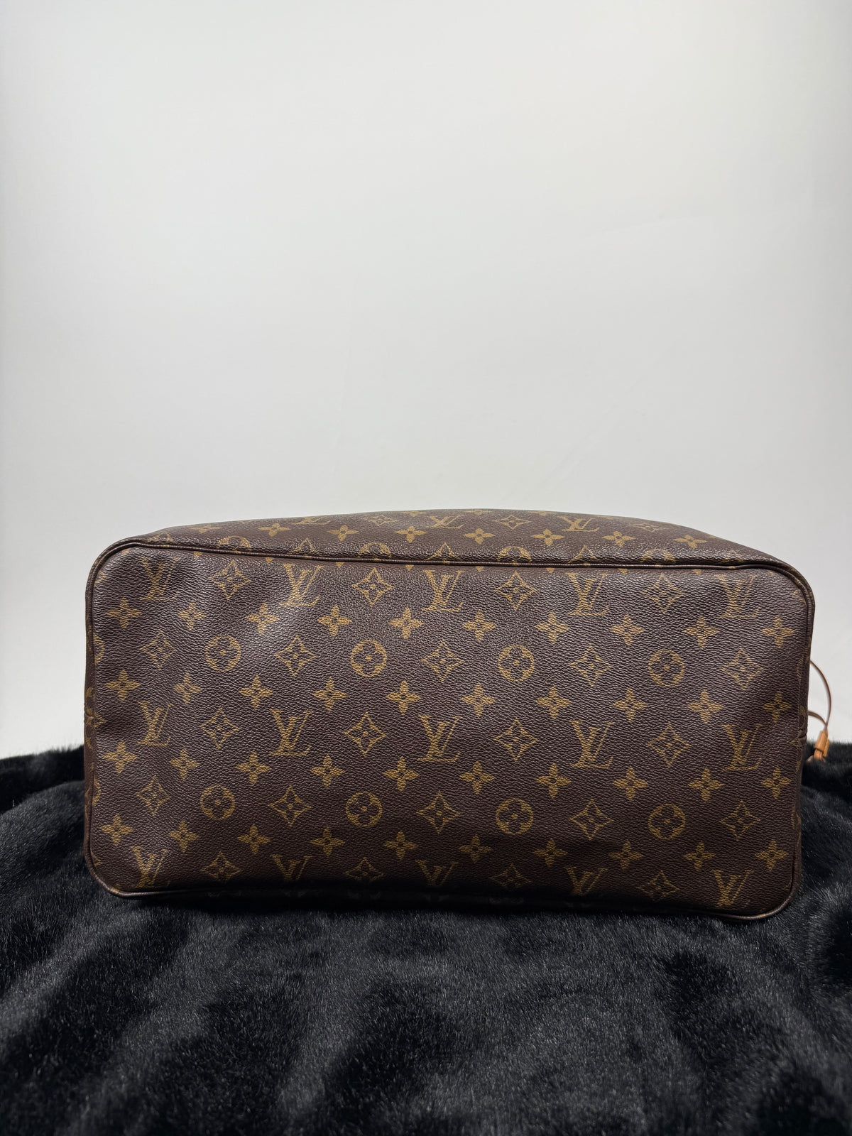 Louis Vuitton Neverfull PM