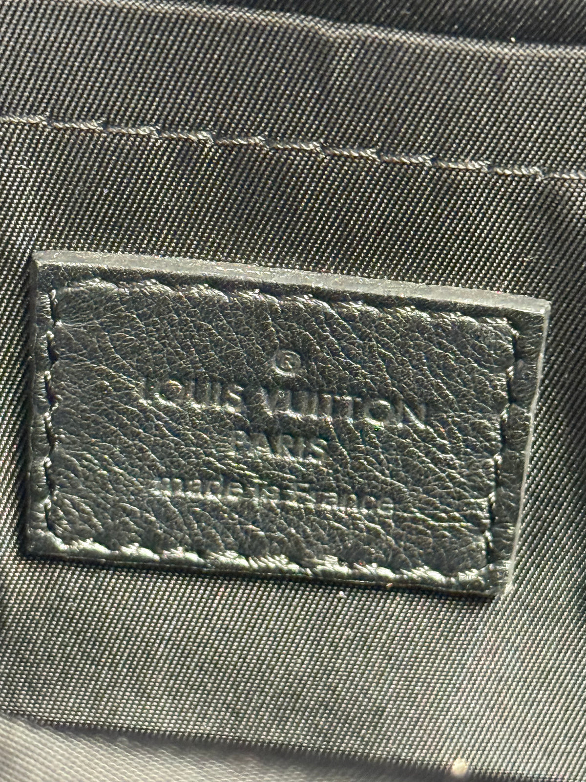 Louis Vuitton Palm Springs Jungle Dot