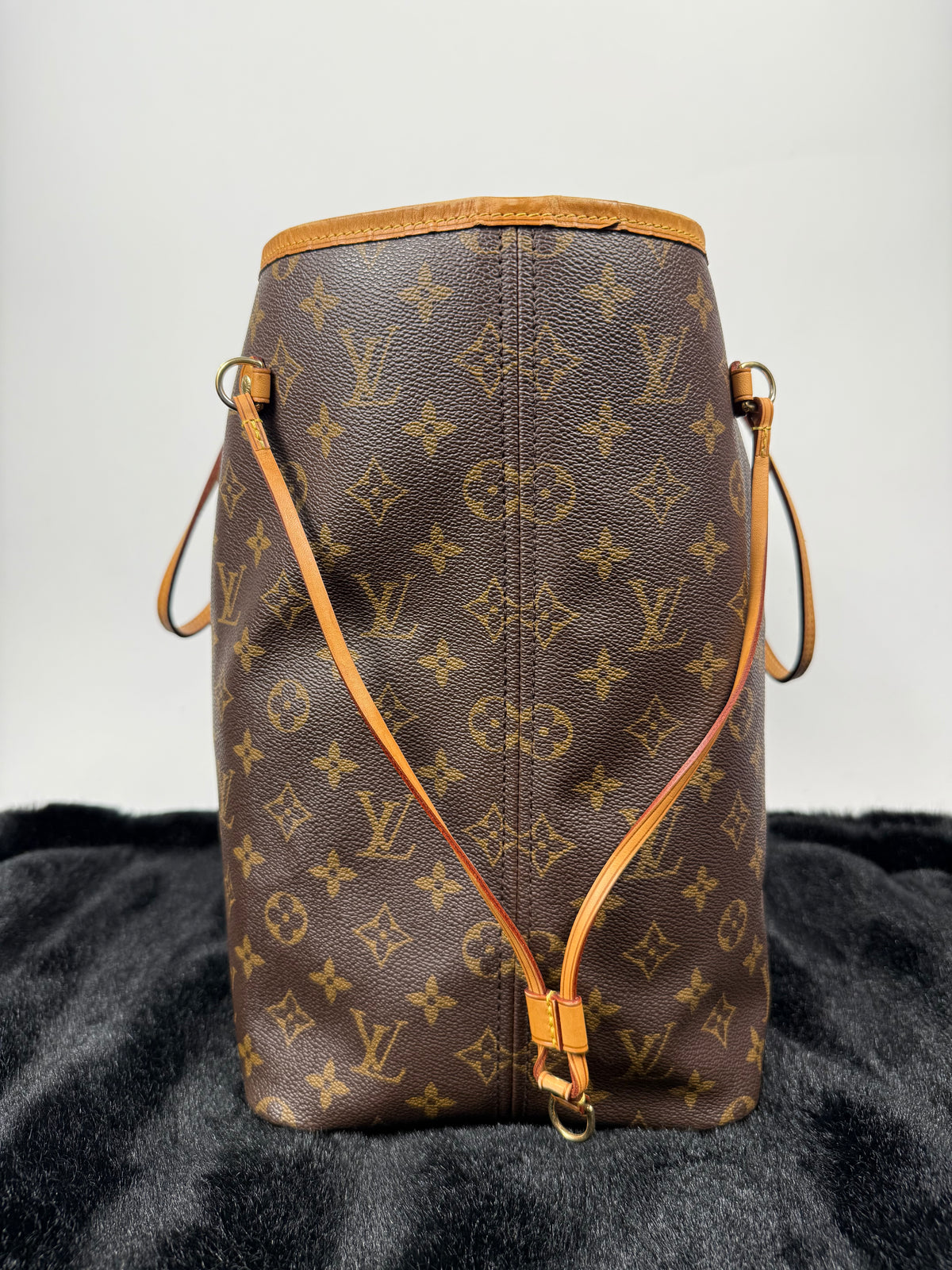 Louis Vuitton Neverfull PM