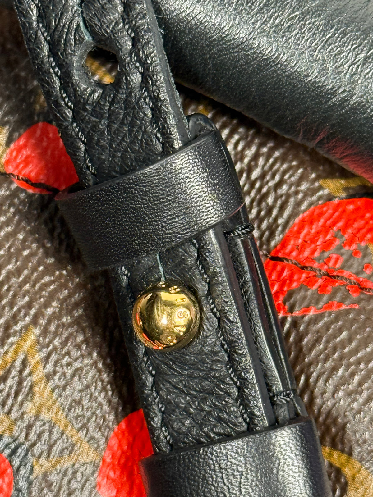 Louis Vuitton Palm Springs Jungle Dot